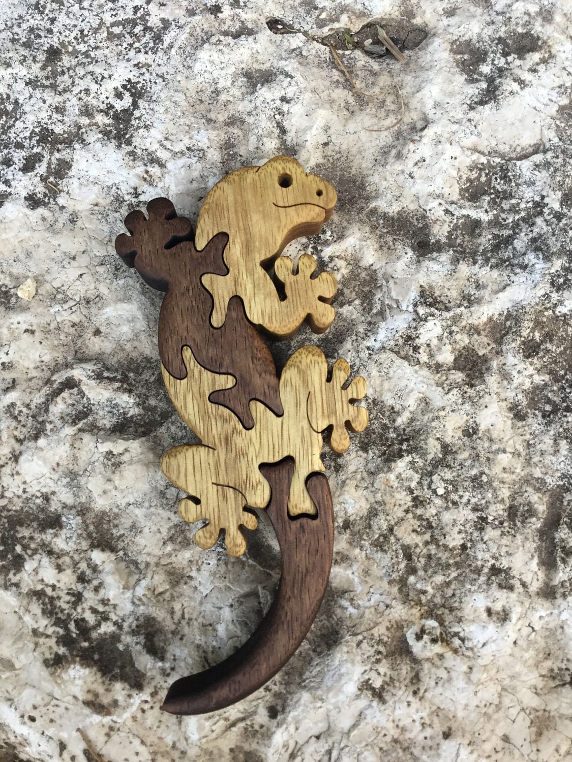 Lizard Wooden Puzzle - Handcrafted Educational Jigsaw, Reptile Theme Toy for Learning, Eco-Friendly Gift