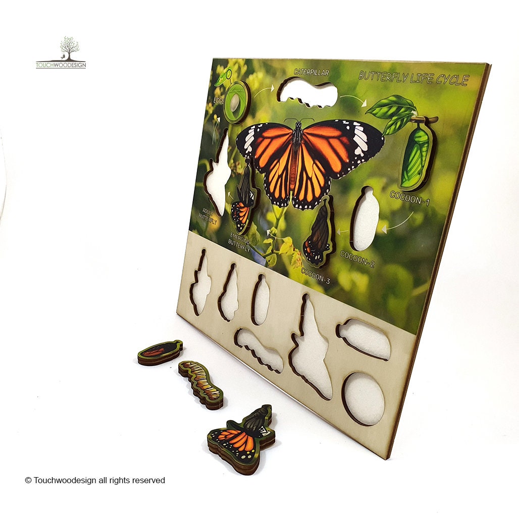 Butterfly Life Cycle - educational wooden puzzle - Montessori toys - laserart - educational toys for kids and toddlers - non-toxic -handmade