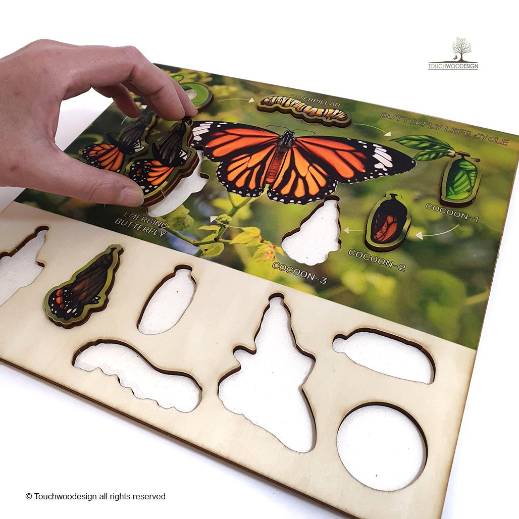 Butterfly Life Cycle - educational wooden puzzle - Montessori toys - laserart - educational toys for kids and toddlers - non-toxic -handmade