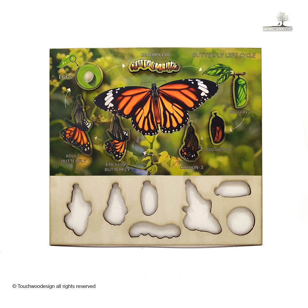 Butterfly Life Cycle - educational wooden puzzle - Montessori toys - laserart - educational toys for kids and toddlers - non-toxic -handmade