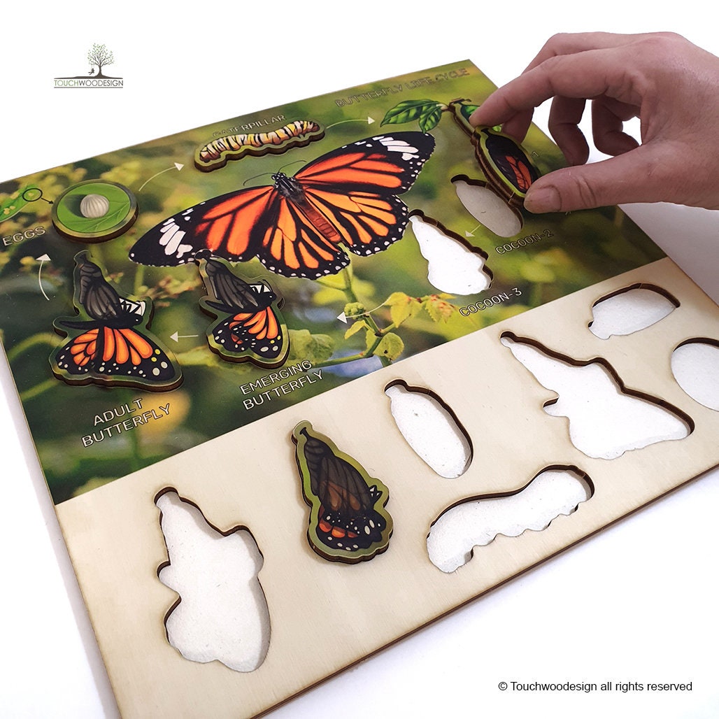 Butterfly Life Cycle - educational wooden puzzle - Montessori toys - laserart - educational toys for kids and toddlers - non-toxic -handmade