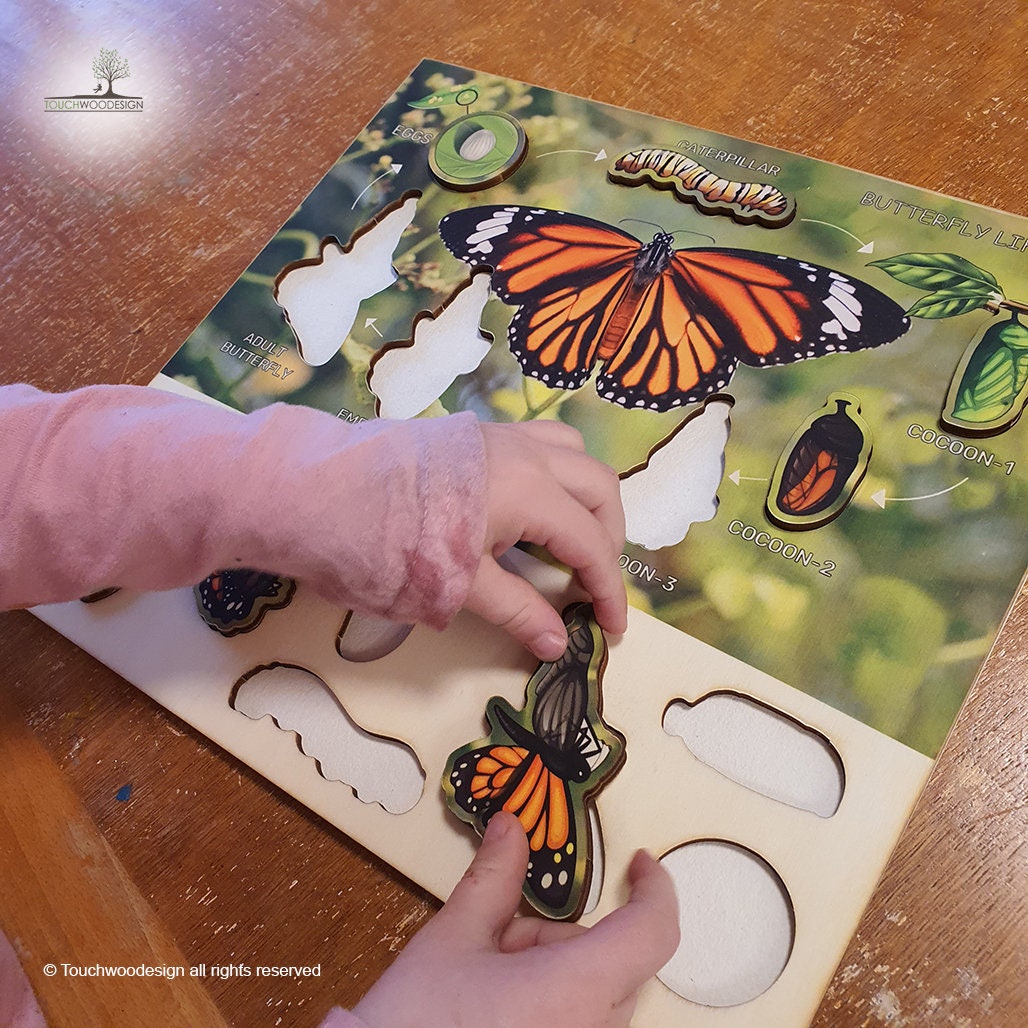 Butterfly Life Cycle - educational wooden puzzle - Montessori toys - laserart - educational toys for kids and toddlers - non-toxic -handmade