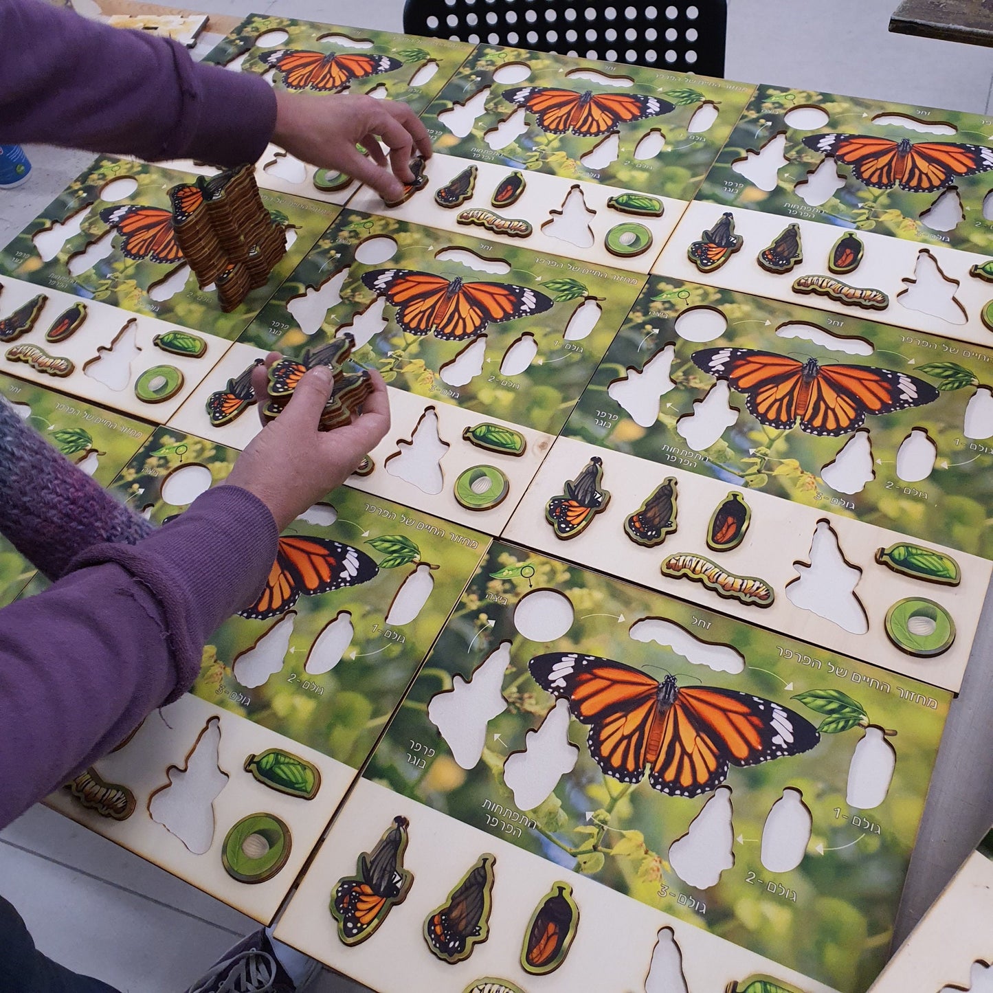 Butterfly Life Cycle - educational wooden puzzle - Montessori toys - laserart - educational toys for kids and toddlers - non-toxic -handmade