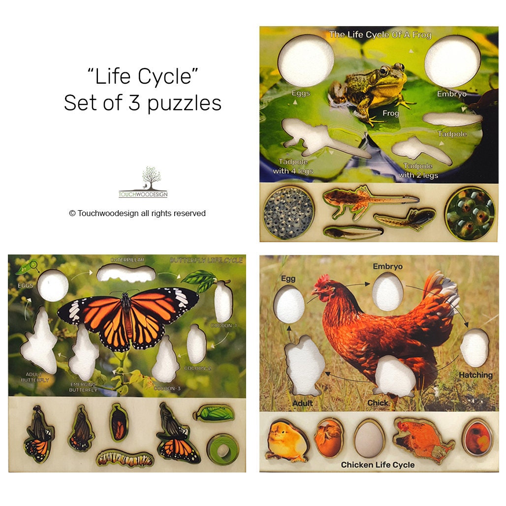 Set of 3 Life Cycles – Butterfly, Frog & Chicken - educational, non-toxic wooden puzzles - Montessori toys for kids - laser art - handmade