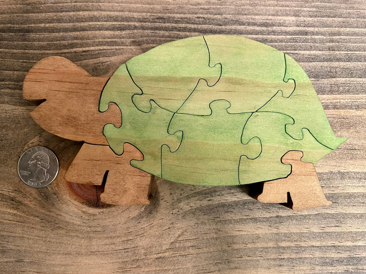 Turtle Puzzle