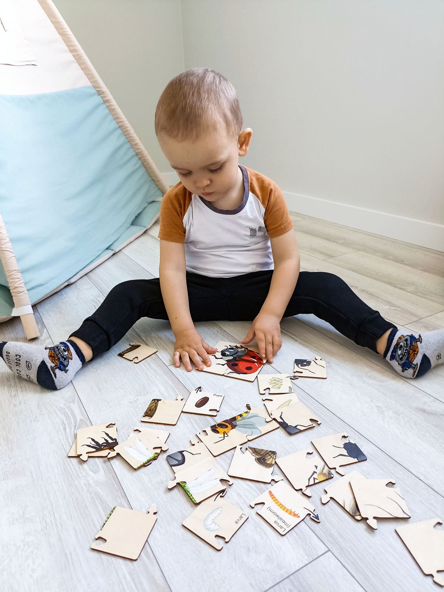 Wooden Puzzle Life Cycle Animal - Gift For Kids - Wood Montessori Toys - Learning Toys For Toddlers - Ukrainian seller